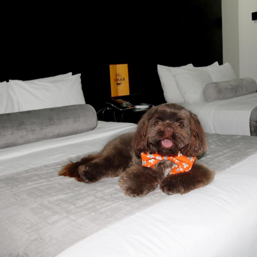 Stay Inn Hotels Reynosa Eksteriør billede